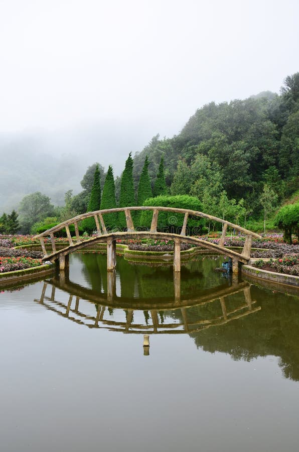 Trädgård i den Doi Inthanon nationalparken royaltyfri foto Trädgård i den Doi Inthanon nationalparken royaltyfri foto
