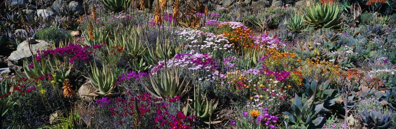 Gardens in Spring, Ojai Center for Earth Concerns, Ojai, California. Gardens in Spring, Ojai Center for Earth Concerns, Ojai, California