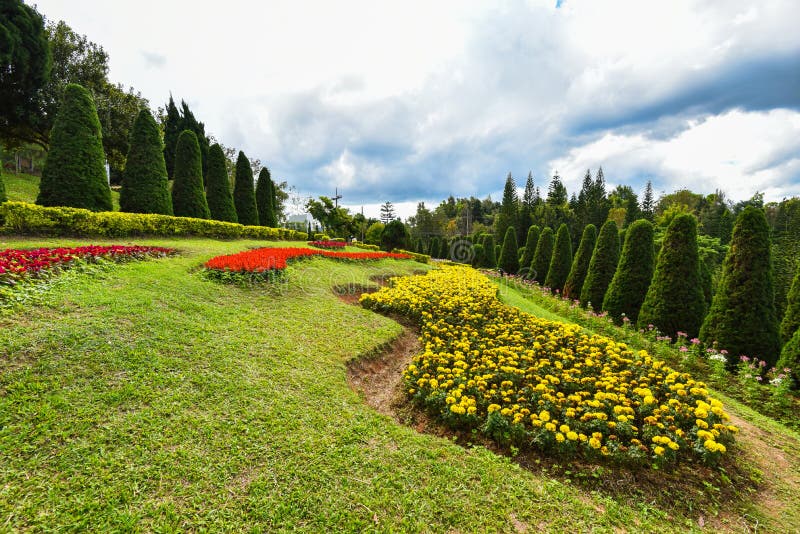 Trädgården sörjer och blommor royaltyfri fotografi Trädgården sörjer och blommor royaltyfri fotografi