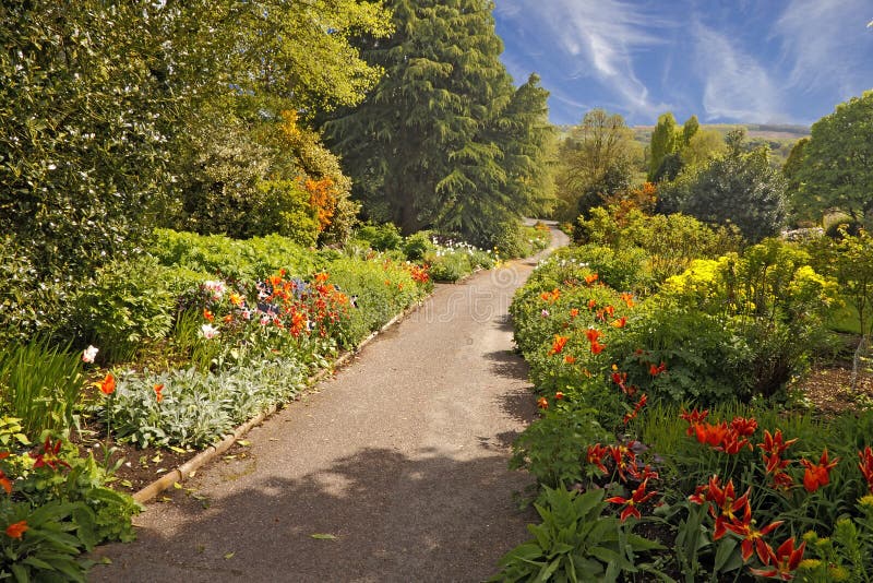 Late Spring mixed borders allongside a path in the Dorothy Clive garden in Shropshire, England. Late Spring mixed borders allongside a path in the Dorothy Clive garden in Shropshire, England.