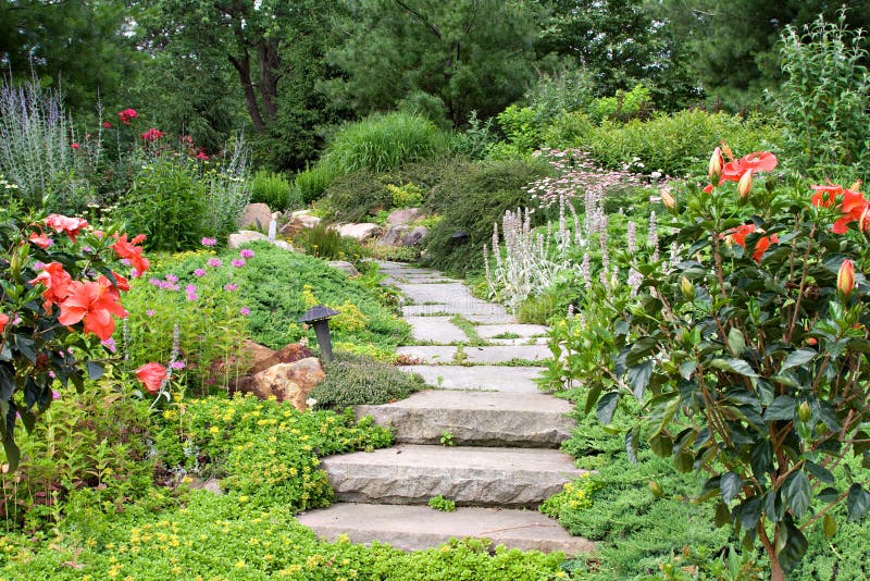 A beautiful nature path through a garden. A beautiful nature path through a garden.