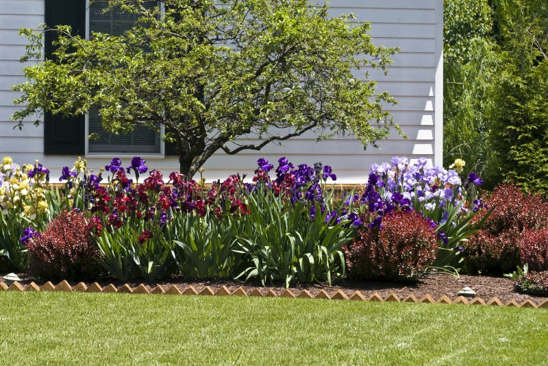 Trädgårds- bostads för blomma fotografering för bildbyråer