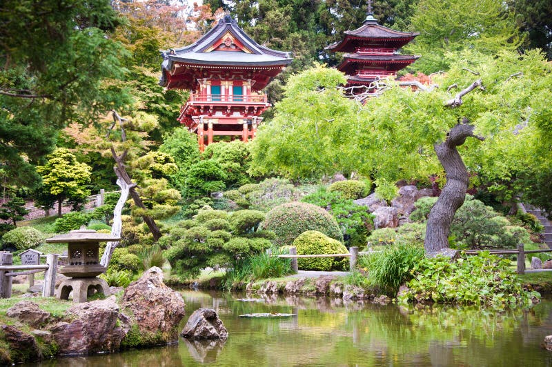 trädgårds- japansk tea royaltyfria bilder trädgårds- japansk tea royaltyfria bilder