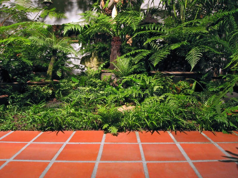 Small tropical urban garden with paving. Small tropical urban garden with paving