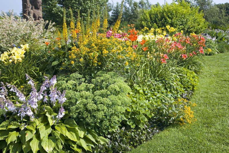 Backyard perennial garden containing late summer flowering perennials. Backyard perennial garden containing late summer flowering perennials.