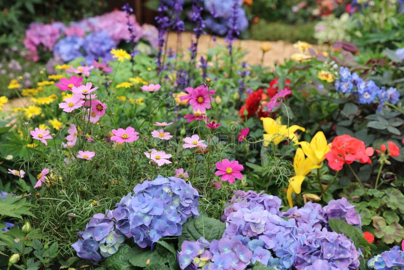 Perennial garden flower bed in spring at flower show. Perennial garden flower bed in spring at flower show