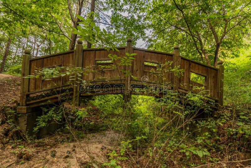 Träfotbron i en skogsmark parkerar arkivfoto Träfotbron i en skogsmark parkerar arkivfoto