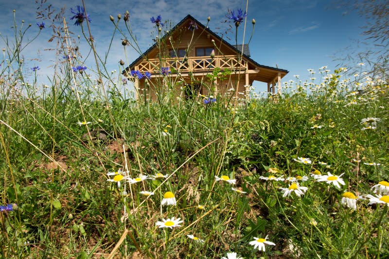 Trähus som omges av lösa blommor fotografering för bildbyråer Trähus som omges av lösa blommor fotografering för bildbyråer
