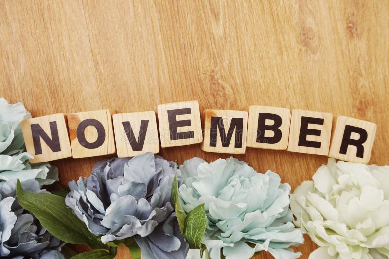 Träkub för November alfabetbokstav med utrymmekopian på träbakgrunds- och blommagarnering arkivbilder Träkub för November alfabetbokstav med utrymmekopian på träbakgrunds- och blommagarnering arkivbilder