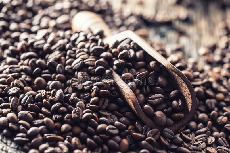 Träskopa mycket av kaffebönor på den gamla ektabellen arkivbild