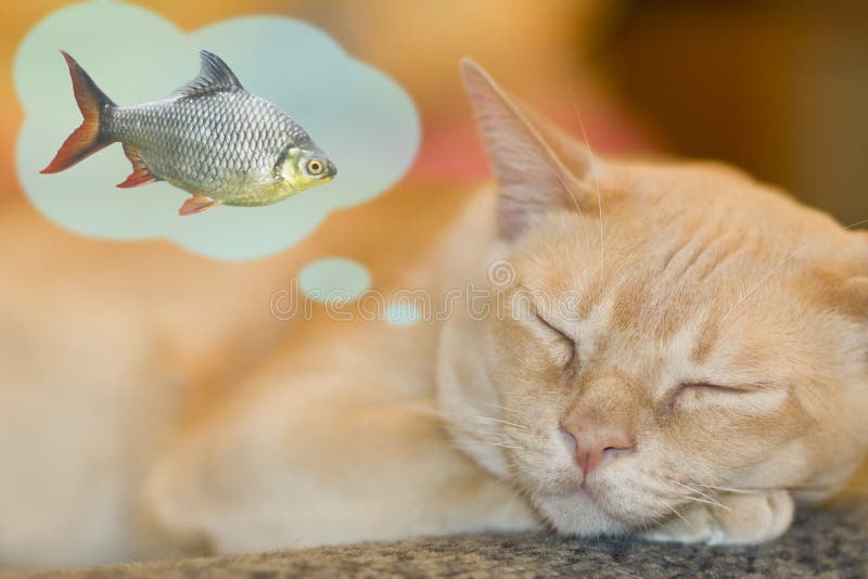 Träumen der Katze vektor abbildung Träumen der Katze vektor abbildung