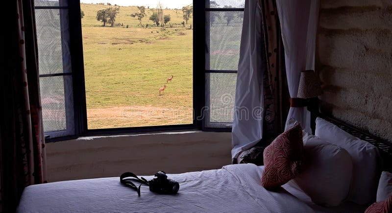 Träumen von Afrika stockfoto Träumen von Afrika stockfoto