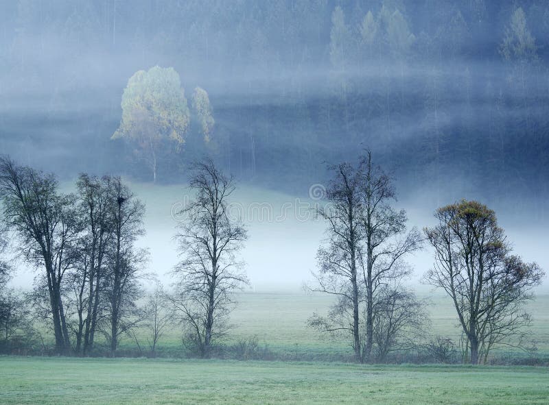 Träumerische Landschaft verloren im starken Nebel, Valle di Casies lizenzfreie stockfotos Träumerische Landschaft verloren im starken Nebel, Valle di Casies lizenzfreie stockfotos