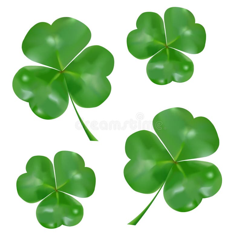 Trébol trifoliado realista S?mbolo del d?a del ` s de St Patrick libre illustration Trébol trifoliado realista S?mbolo del d?a del ` s de St Patrick libre illustration
