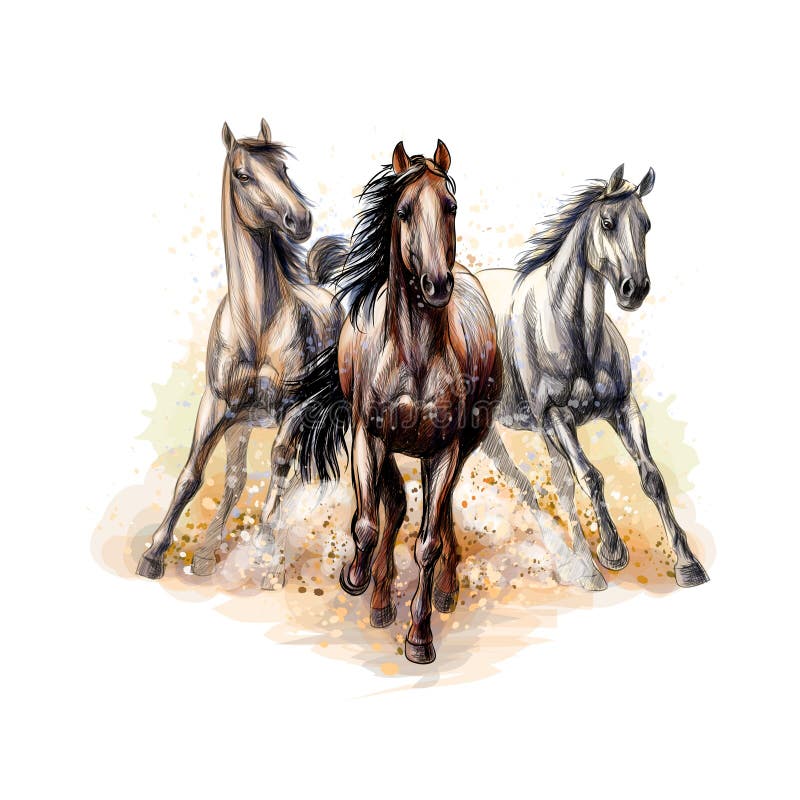 Three horses run gallop from a splash of watercolor, hand drawn sketch. Vector illustration of paints. Three horses run gallop from a splash of watercolor, hand drawn sketch. Vector illustration of paints