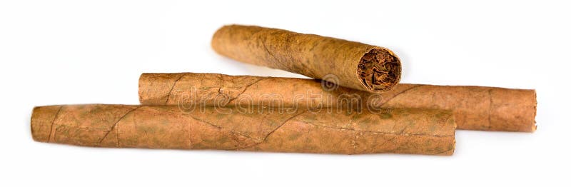 Três cigarrilhas de cigarro isoladas em fundo branco. macro fechar alta resolução imagem de stock