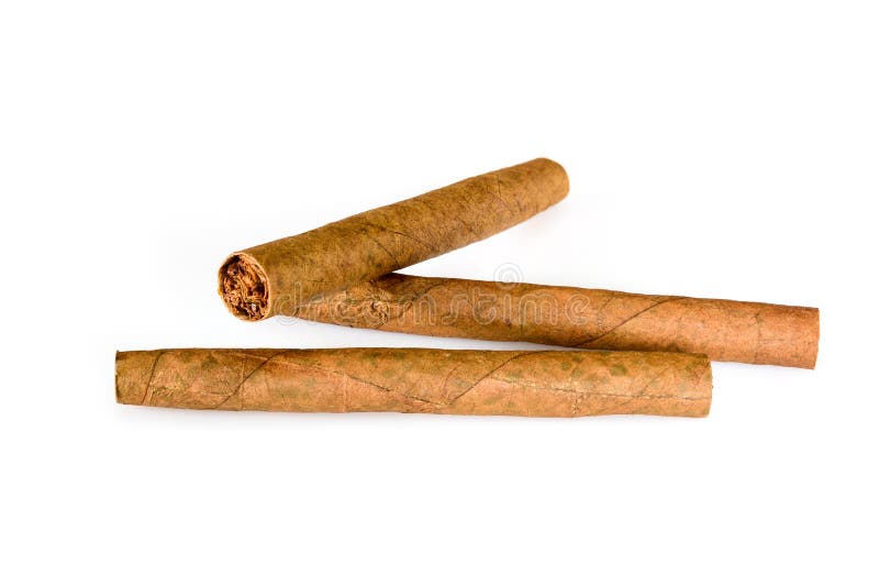 Três cigarrilhas de cigarro isoladas em fundo branco. macro fechar alta resolução fotos de stock