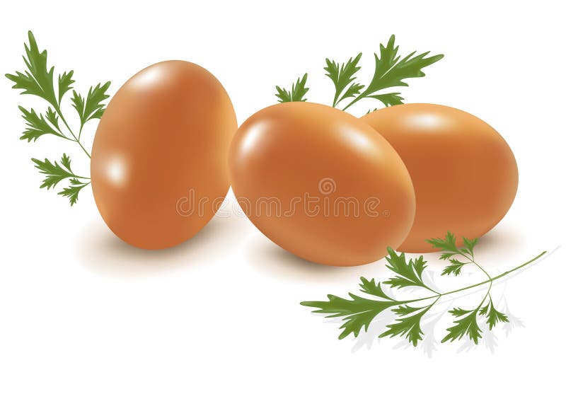 Photo-realistic . Three eggs with parsley. Photo-realistic . Three eggs with parsley.