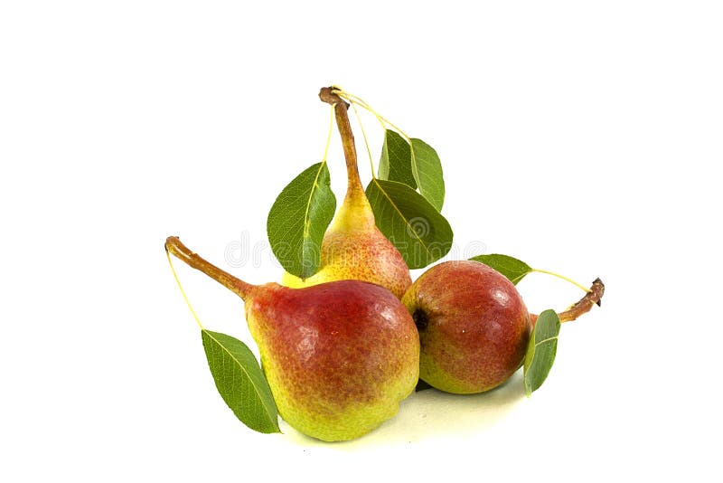 Três peras frescas imagens de stock Três peras frescas imagens de stock