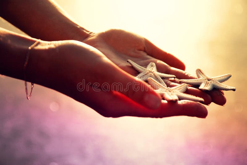 Três estrelas-do-mar foto de stock