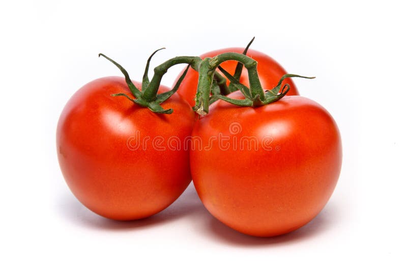 Três tomates amadurecidos videira
