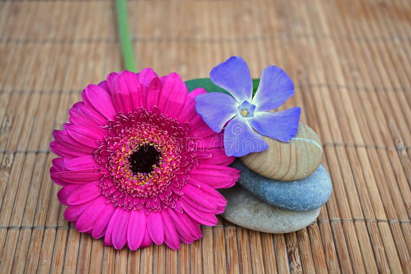 Três zenstones com a flor no fundo de lingüeta de bambu fotos de stock Três zenstones com a flor no fundo de lingüeta de bambu fotos de stock