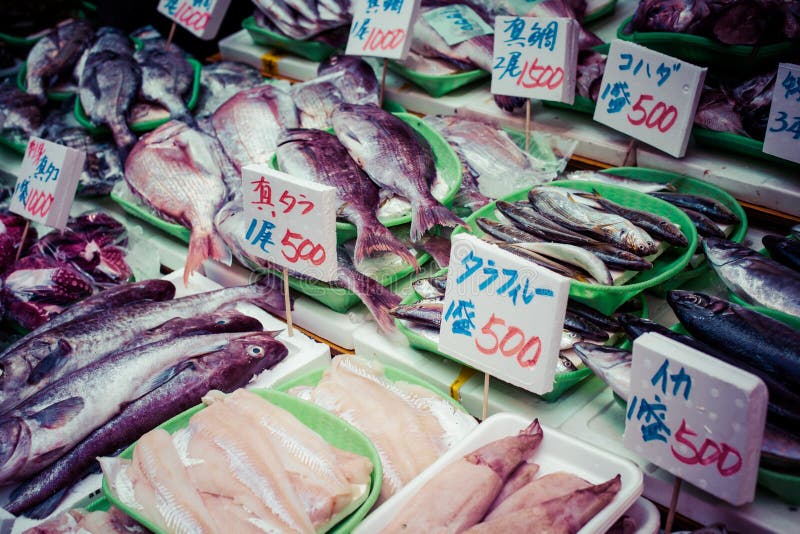 Tsukiji Fish Market in Japan. Stock Image Image of cook, ingredient