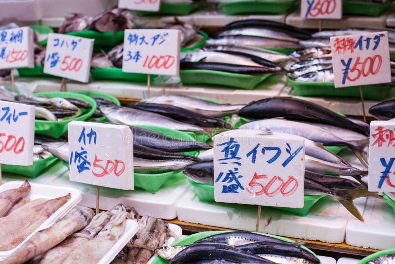 Tsukiji Fish Market in Japan. Stock Photo Image of cuisine, fish