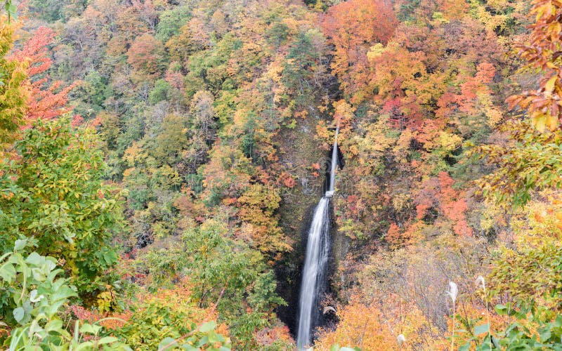 Wasserfall im herbst abfall jahreszeit auf der.