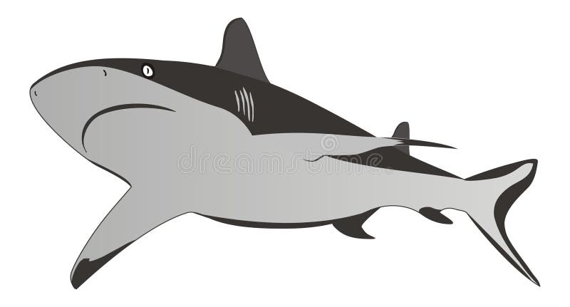 Tubarão - predador perigoso do mar, ilustração