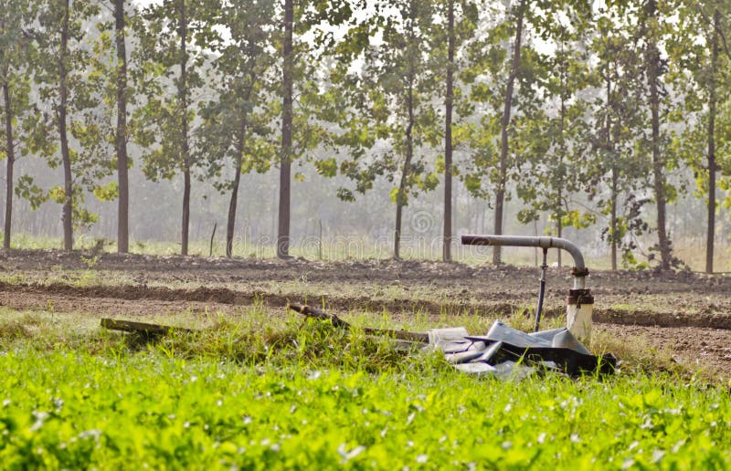 Tubewell, Indian Irrigation System,water Supply, Irrigation for Crop