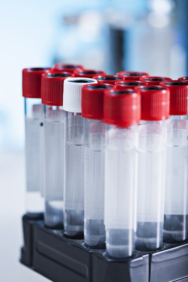 Tubes in the laboratory royalty free stock photo