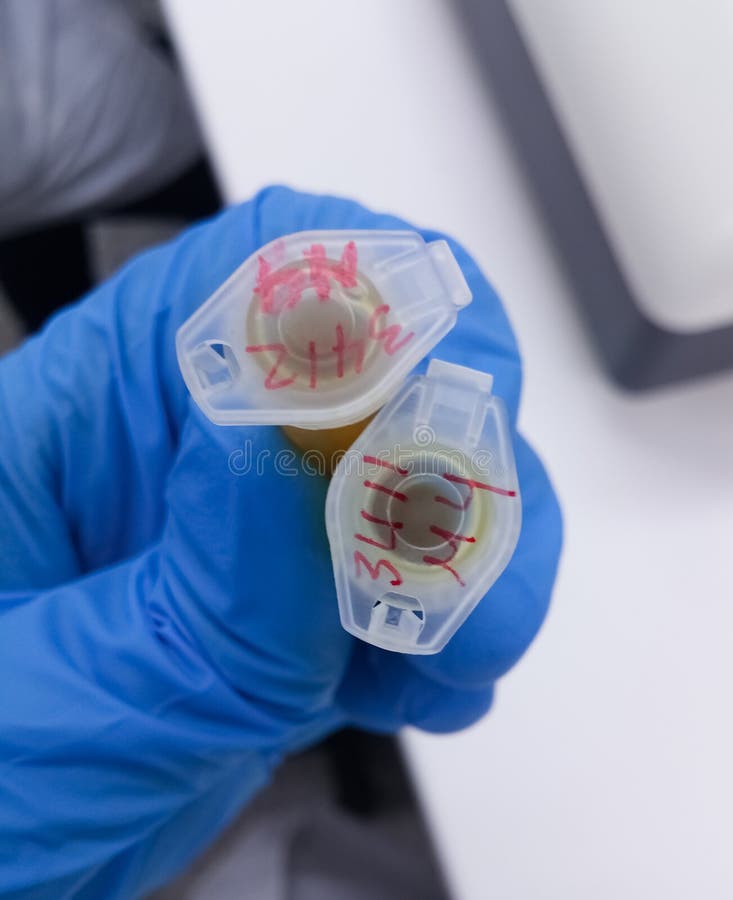 Tubes ou fioles en plastique pour la recherche scientifique avec des nombres avec des gants de nitriles images stock Tubes ou fioles en plastique pour la recherche scientifique avec des nombres avec des gants de nitriles images stock
