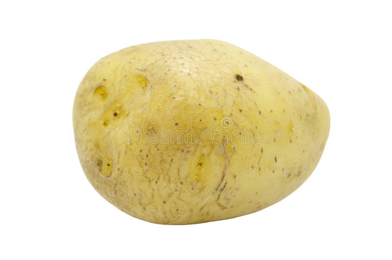 Tubi di patate isolati su fondo bianco Ortaggi freschi, alimenti per vegani immagine stock libera da diritti Tubi di patate isolati su fondo bianco Ortaggi freschi, alimenti per vegani immagine stock libera da diritti