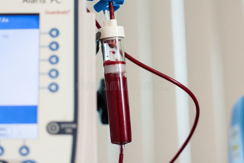 Autocomplacencia Alegaciones pasatiempo Tubo Que Contiene La Sangre Humana Para Que Transfusión Trate Anemia Imagen  de archivo - Imagen de rojo, acolchamiento: 56255065
