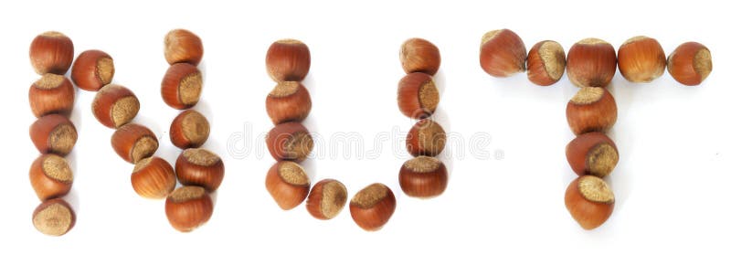 Word nut made of hazelnuts on a white background. Word nut made of hazelnuts on a white background