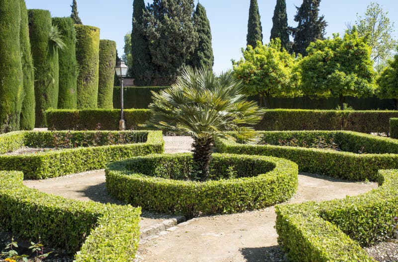 Tuin met rond palm en groene installaties royalty-vrije stock afbeeldingen Tuin met rond palm en groene installaties royalty-vrije stock afbeeldingen