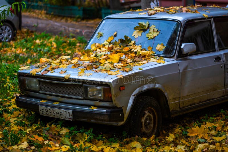 TULA, RYSSLAND - OKTOBER 5, 2019: många fallna äppelblad på gamla ryssar royaltyfri fotografi TULA, RYSSLAND - OKTOBER 5, 2019: många fallna äppelblad på gamla ryssar royaltyfri fotografi