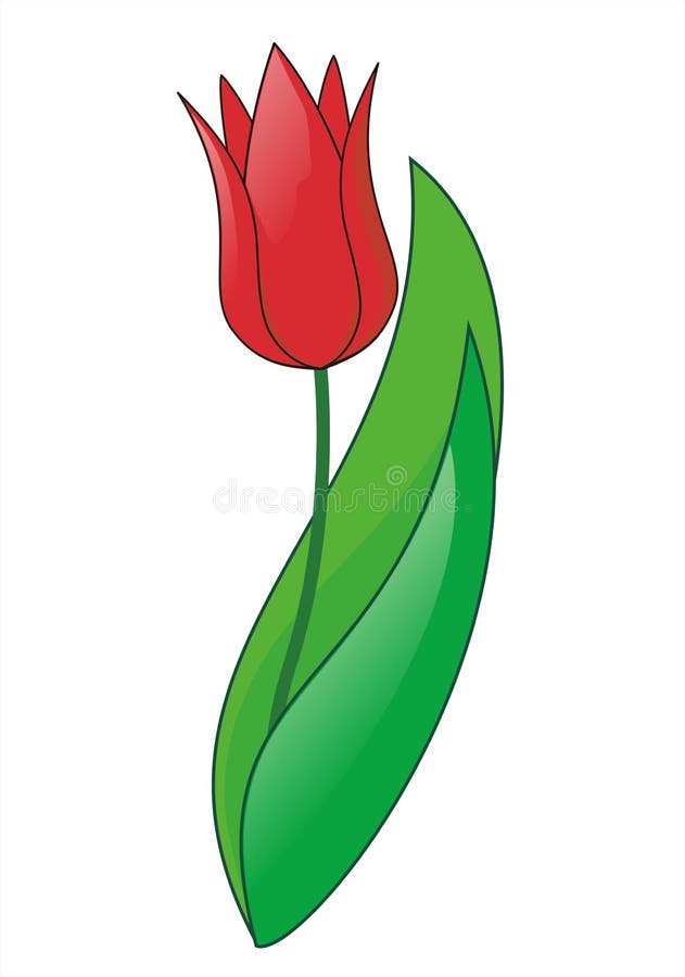 Tulip ilustração do vetor Tulip ilustração do vetor