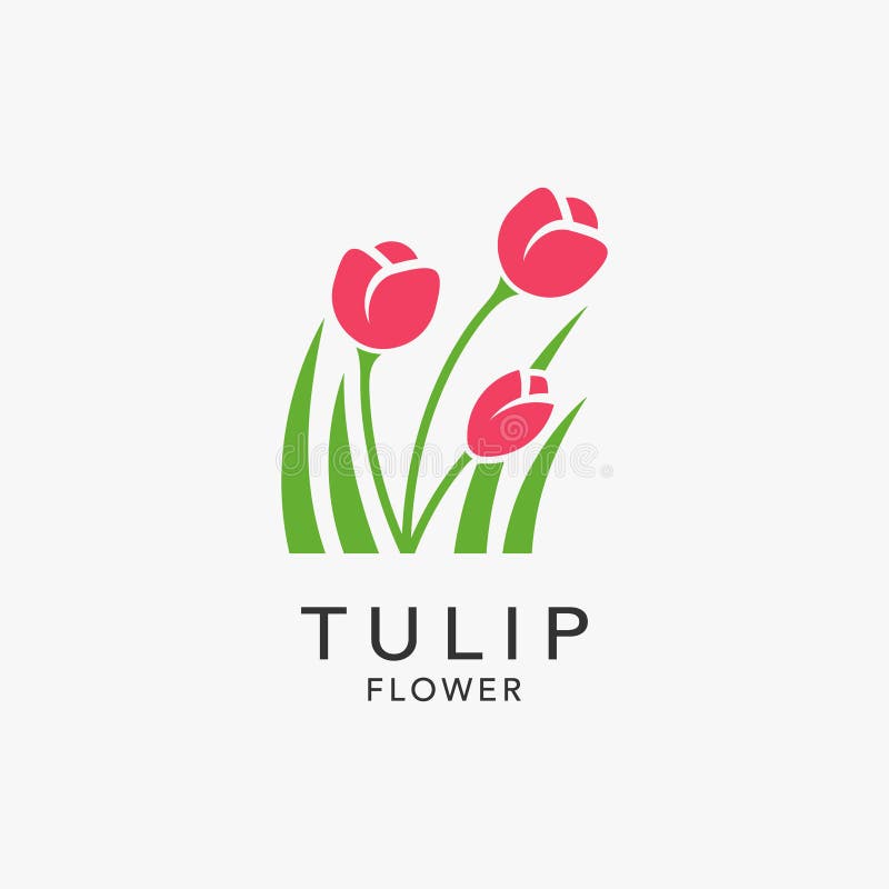 Tulip flower logo design stock vector. Illustration of bouquet 274771991