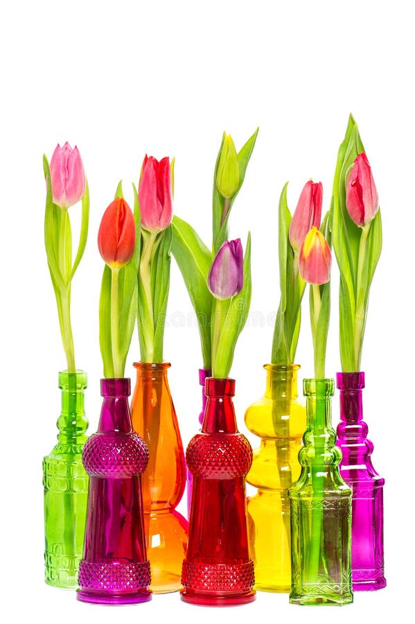 Tulip Flowers in Colorful Glass Vases Over White Background Stock Photo ...