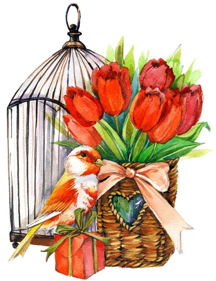 Tulip Flowers, kanariefågelfågel och dekorativ fågelbur vattenfärg royaltyfri illustrationer Tulip Flowers, kanariefågelfågel och dekorativ fågelbur vattenfärg royaltyfri illustrationer