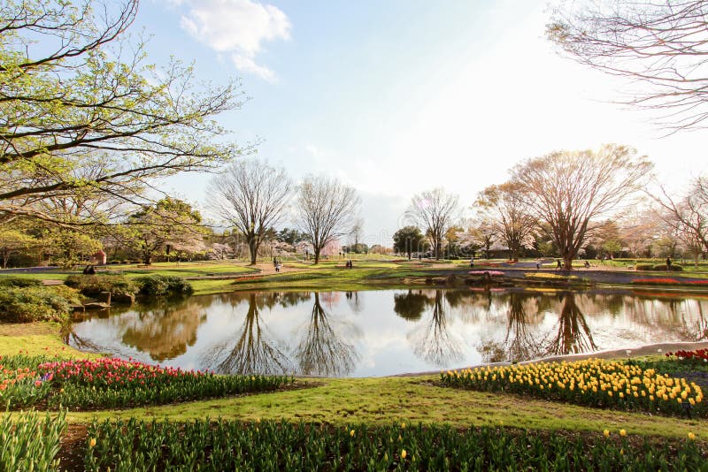Tachikawa City - Parks & Gardens - Tokyo - Japan Travel