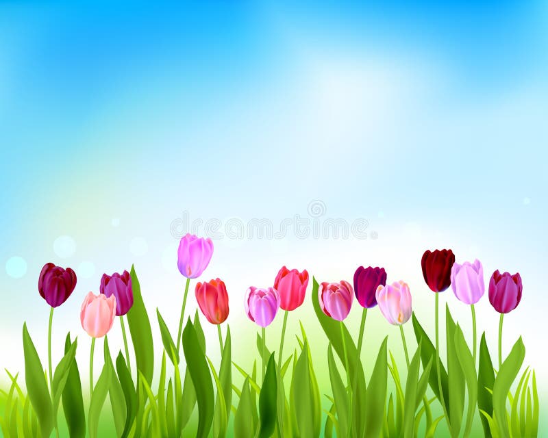 Vector spring background stock vector. Illustration of meadow - 29112776