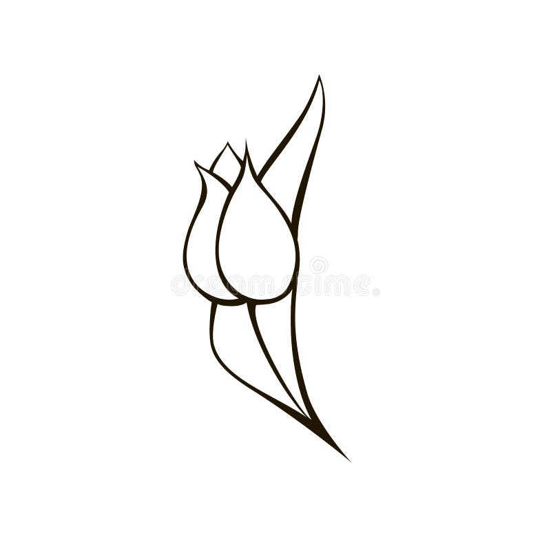 Tulip in Vector Black and White. Stock Vector - Illustration of