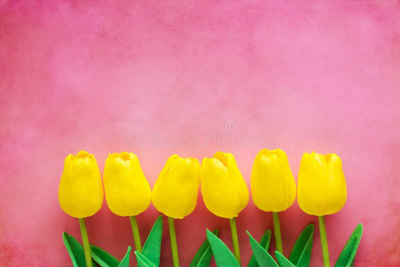 Tulipanes Amarillos Artificiales En Fondo Rosado Imagen de archivo - Imagen de flor, rosa: 129561127 Tulipanes Amarillos Artificiales En Fondo Rosado Imagen de archivo - Imagen de flor, rosa: 129561127