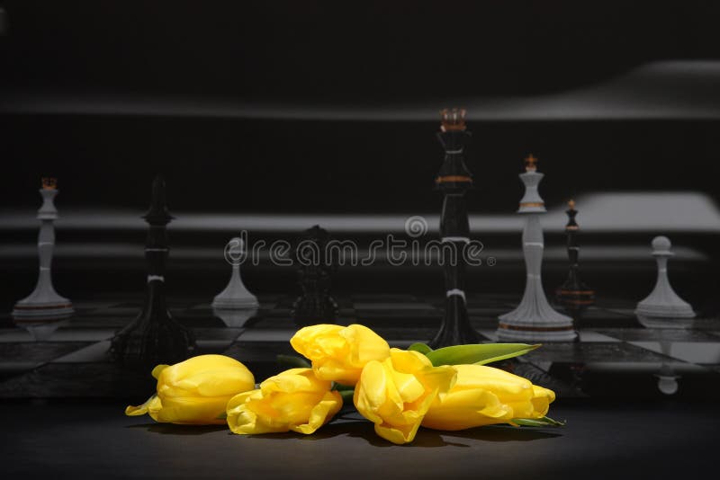 Tulipanes amarillos contra la perspectiva de un tablero de ajedrez negro Tulipanes amarillos contra la perspectiva de un tablero de ajedrez negro
