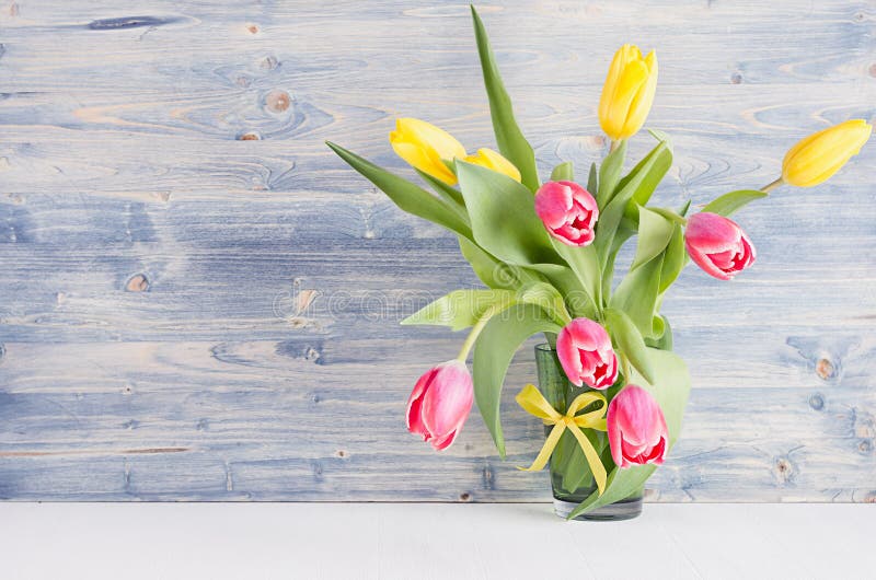 Tulipanes amarillos y rojos en florero en tablero de madera elegante lamentable azul Fondo de la primavera de abril, interior del