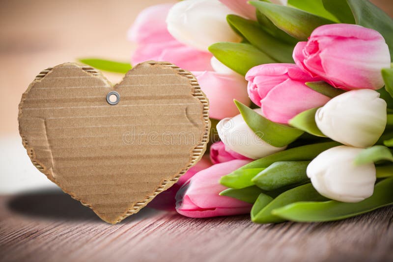 Tulipanes con la cartulina del mensaje vacío para propio mensaje fotografía de archivo libre de regalías Tulipanes con la cartulina del mensaje vacío para propio mensaje fotografía de archivo libre de regalías