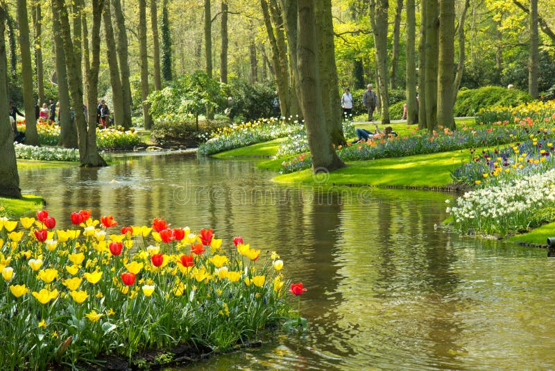 Tulipanes en el parque de Keukenhof imagenes de archivo Tulipanes en el parque de Keukenhof imagenes de archivo